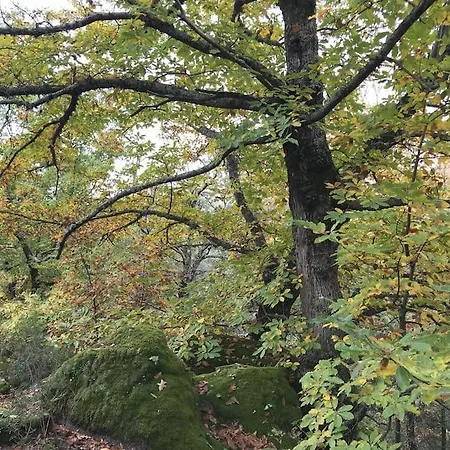 De Musgo Willa Valverde de la Vera