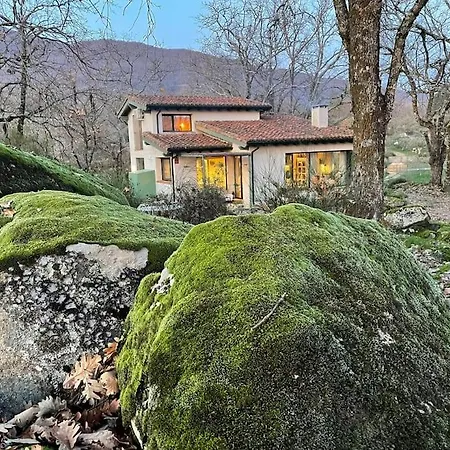 De Musgo Villa *