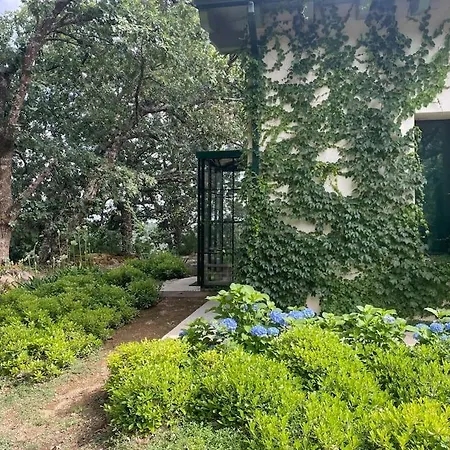 De Musgo Villa