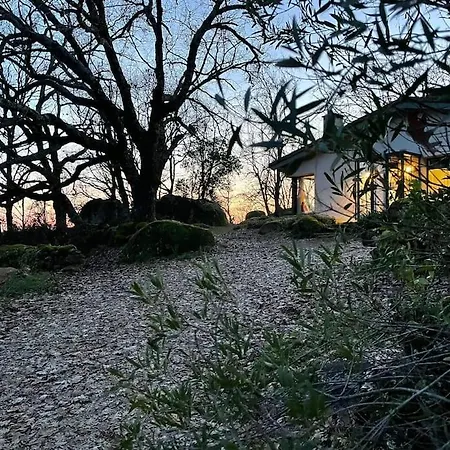 De Musgo Villa