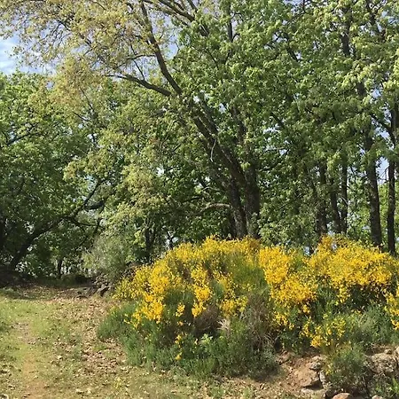 Willa De Musgo Valverde de la Vera