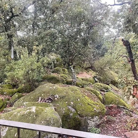 De Musgo Villa Valverde de la Vera