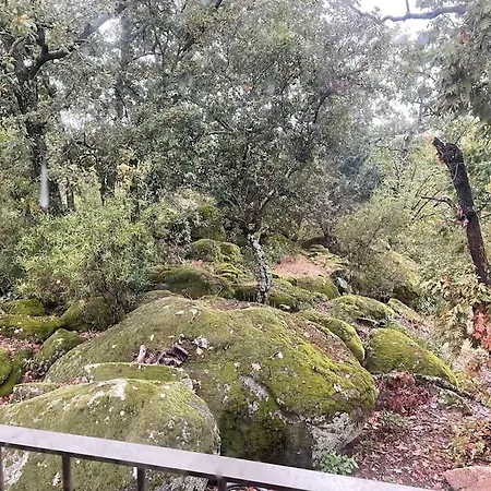 De Musgo Villa Valverde de la Vera
