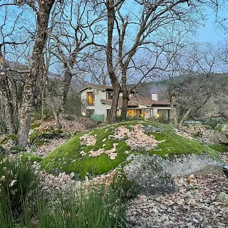 De Musgo Villa *
