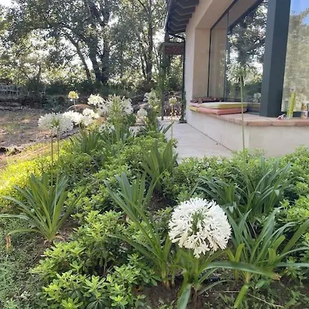 De Musgo Willa Valverde de la Vera