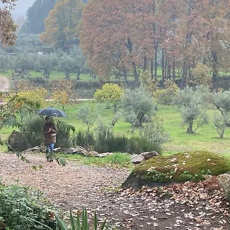 Willa De Musgo Valverde de la Vera