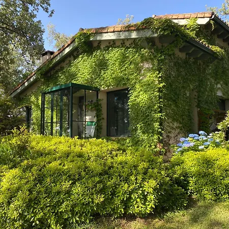 Villa De Musgo