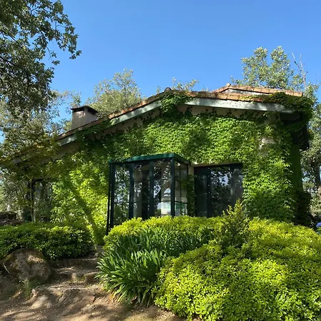 Villa De Musgo *