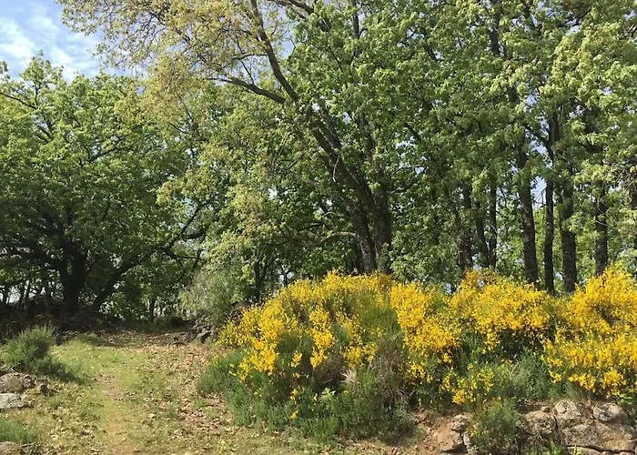 Villa De Musgo Valverde de la Vera