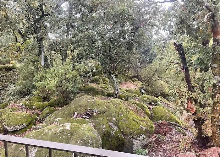 De Musgo Villa Valverde de la Vera