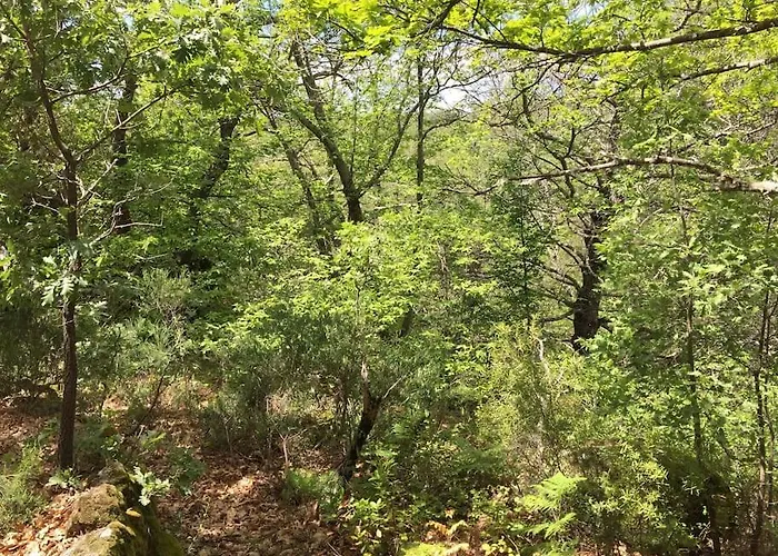 De Musgo * Valverde de la Vera