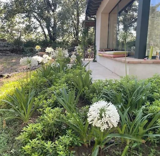 De Musgo Villa Valverde de la Vera