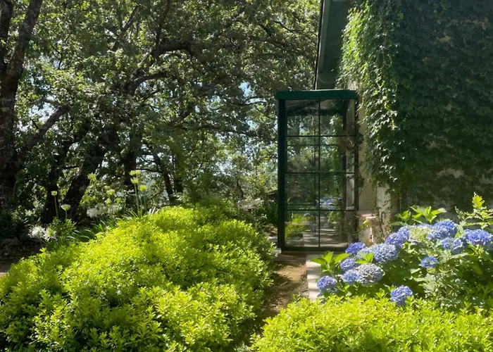 De Musgo Valverde de la Vera